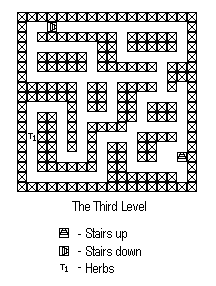 Level 3 of the final Dungeon